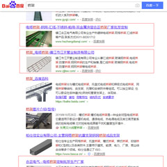 苍南客户网站排名优化案例