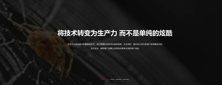 苍南网页设计公司网站哪家强？
